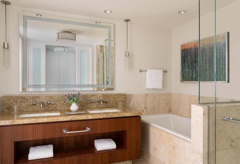 اتاق استاندارد با تخت بزرگ برای معلولان, Four Seasons  St Louis