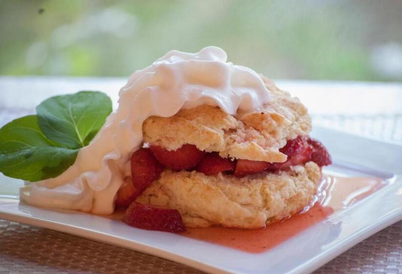 اتاق استاندارد با چشمانداز شهر, Stonehurst Place Bed & Breakfast
