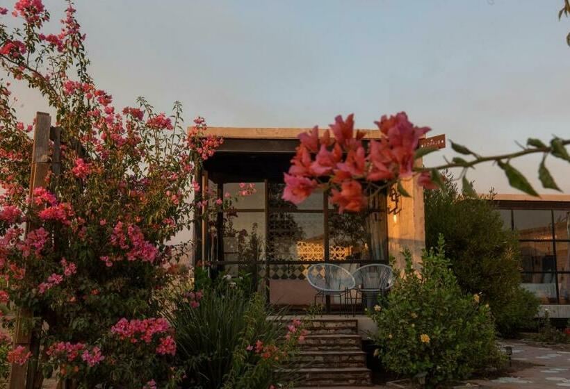 اتاق لوکس, Los Amantes Valle De Guadalupe