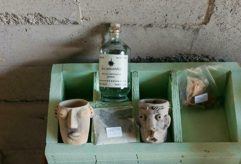سوییت جونیور, Los Amantes Valle De Guadalupe