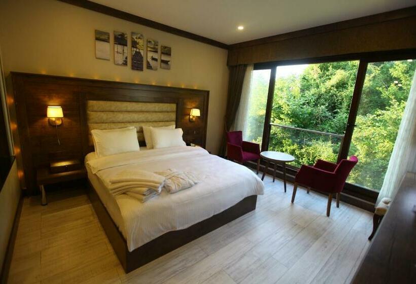 اتاق استاندارد, şelale Otel