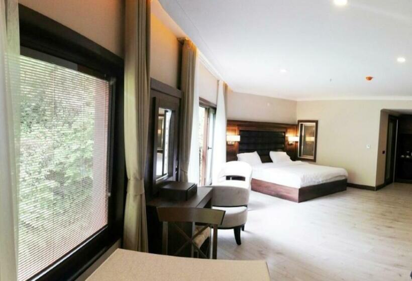 اتاق استاندارد, şelale Otel