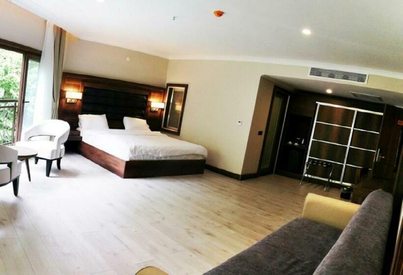 اتاق استاندارد, şelale Otel