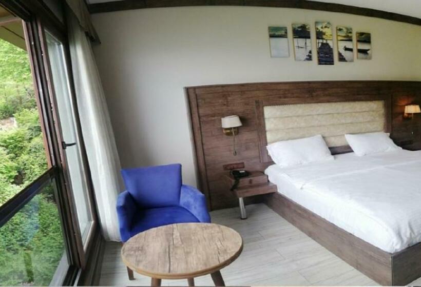 اتاق استاندارد, şelale Otel