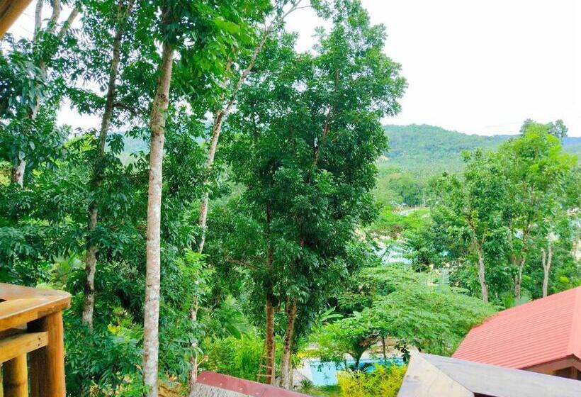 اتاق استاندارد یک نفره, Victordelia Hilltop Hostel