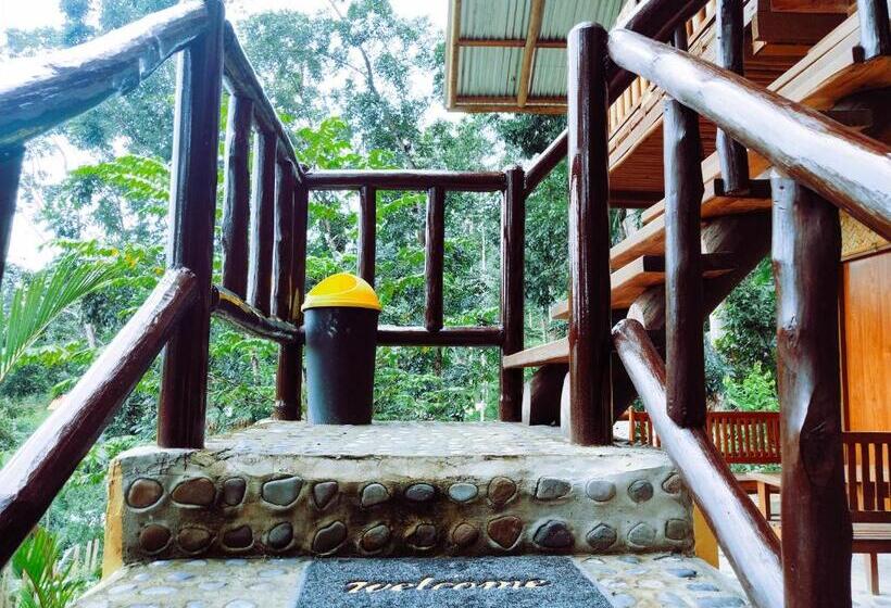 اتاق استاندارد یک نفره, Victordelia Hilltop Hostel