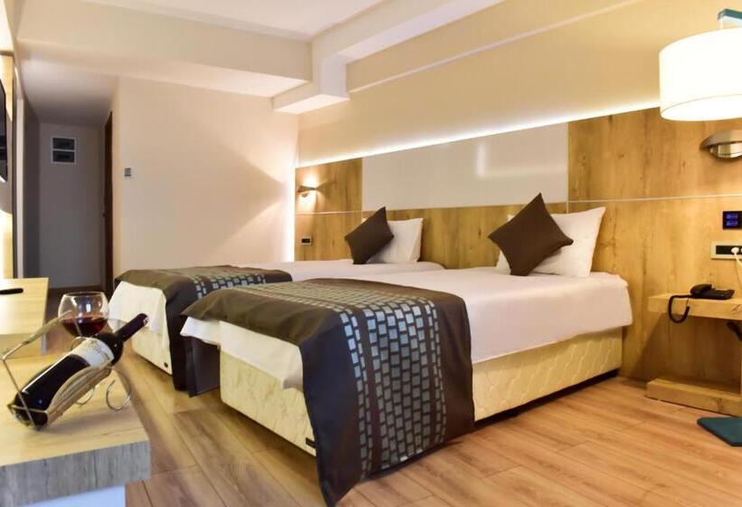 اتاق استاندارد, Agaoglu Otel