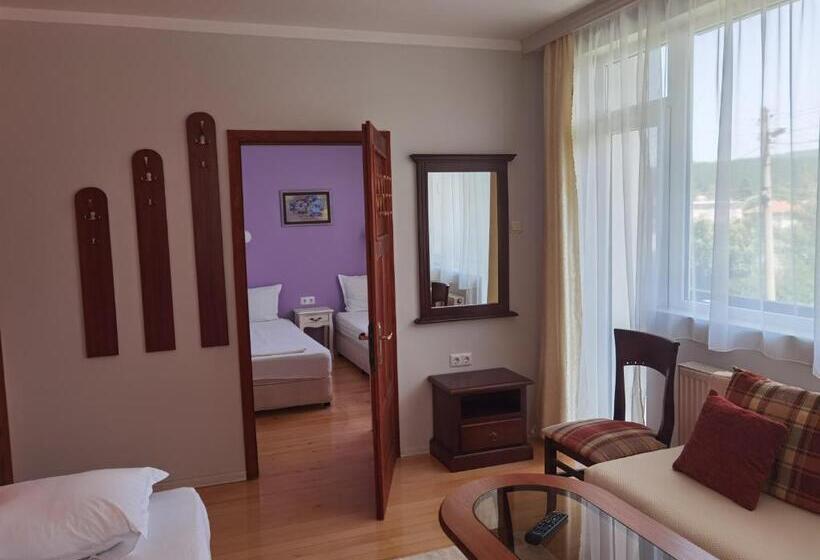 اتاق راحتی سه تخته, Mira Guest House