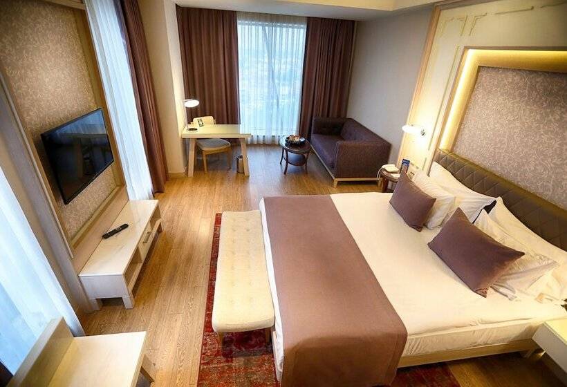 Deluxe Room, The Green Park  Ankara