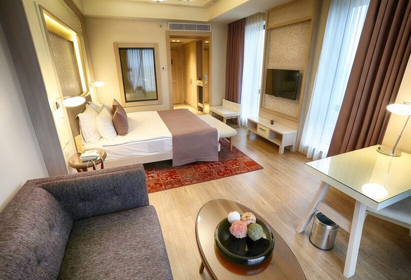 Deluxe Room, The Green Park  Ankara