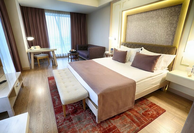 Deluxe Room, The Green Park  Ankara