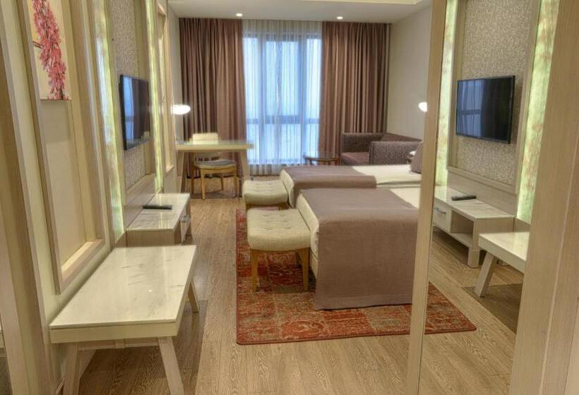 Deluxe Room, The Green Park  Ankara