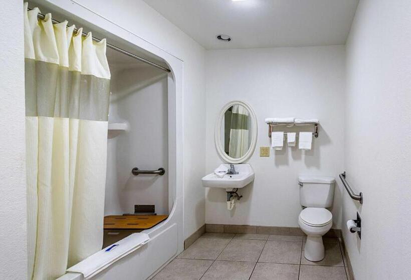 اتاق استاندارد چهار تخته, Motel 6urbana, Il