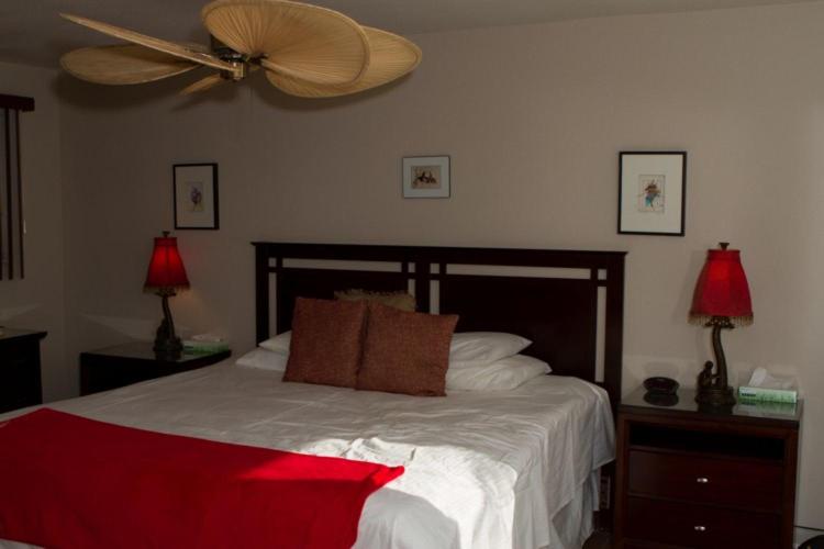 اتاق لوکس با تخت بزرگ, Sea Mountain Nude Resort & Spa Hotel   Adults Only