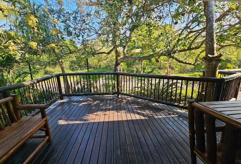 اتاق استاندارد برای معلولان, Leopard Corner Lodge