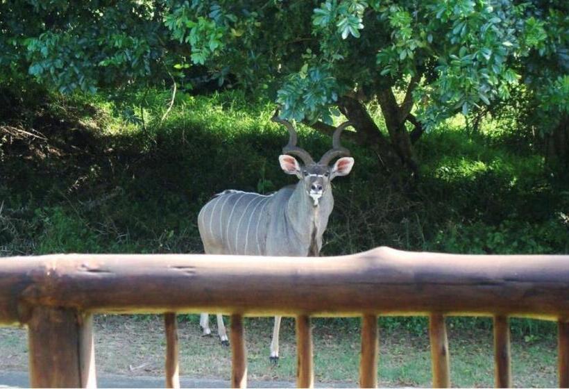 اتاق استاندارد با بالکن, Leopard Corner Lodge