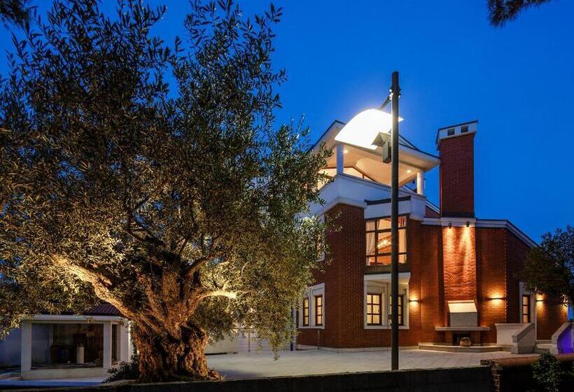 ویلای سوپریور 1 خوابه, Boutique Hotel Villa Vulin