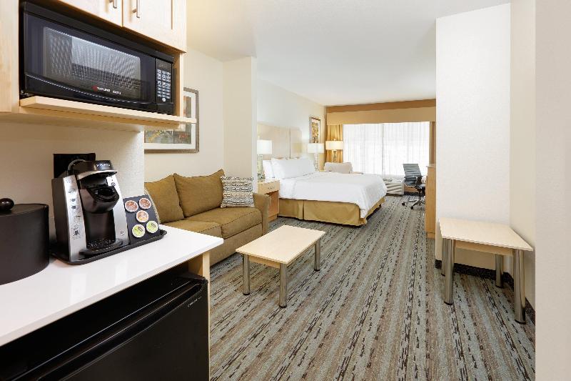 سوئیت با تخت بزرگ, Holiday Inn Express  & Suites San Antonio Se