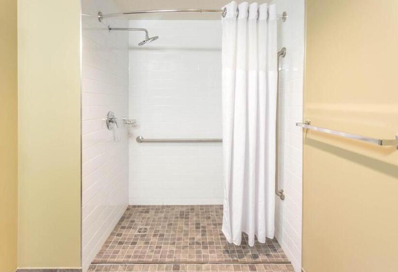 اتاق استاندارد برای معلولان, Microtel Inn & Suites By Wyndham Whitecourt