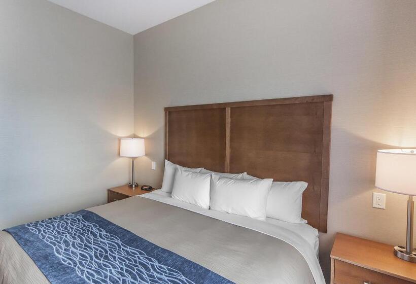 Suite King Bed, Comfort Inn & Suites Bonnyville