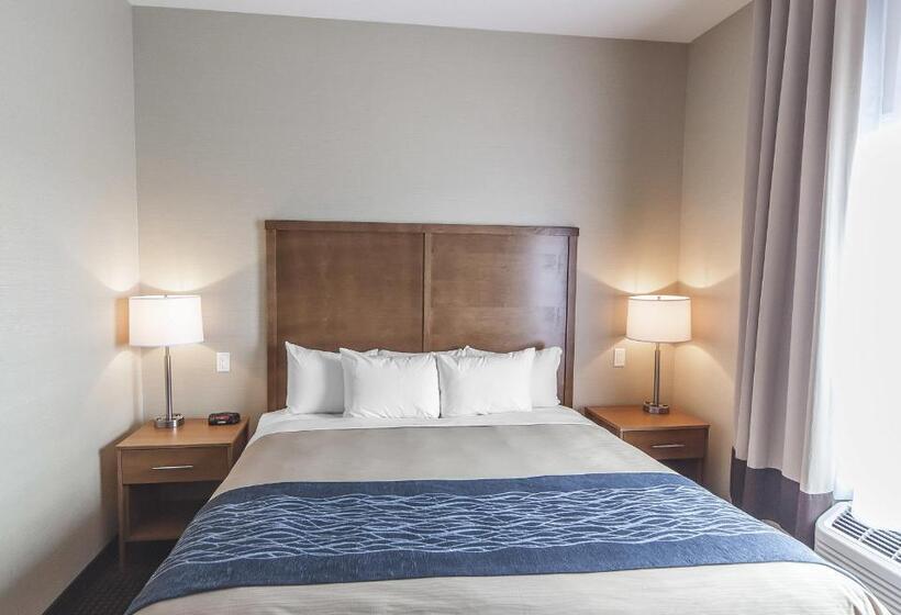 جناح سرير كينج, Comfort Inn & Suites Bonnyville