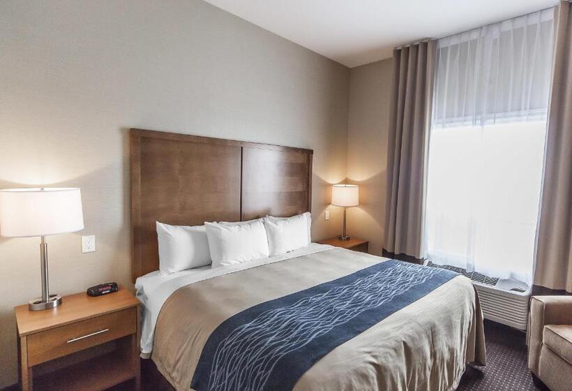 Suite King Bed, Comfort Inn & Suites Bonnyville