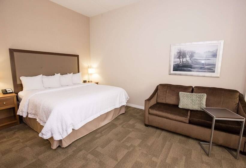 غرفة قياسية سرير كينج, Hampton Inn & Suites Pittsburgh/harmarville