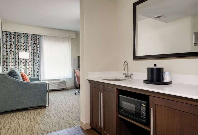 Monolocale Standard Letto King, Hampton Inn & Suites Vero Beach Downtown