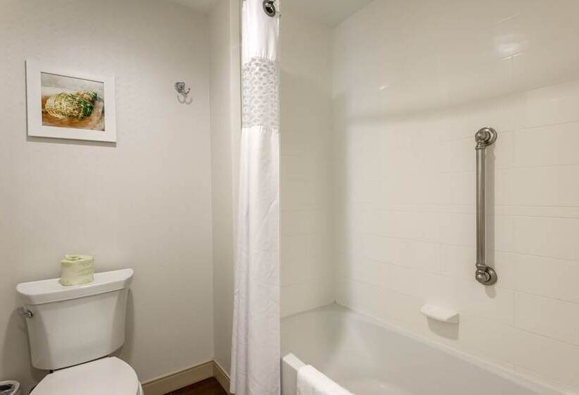 Standard Room Adapted for people with reduced mobility, Hampton Inn & Suites Vero Beach Downtown