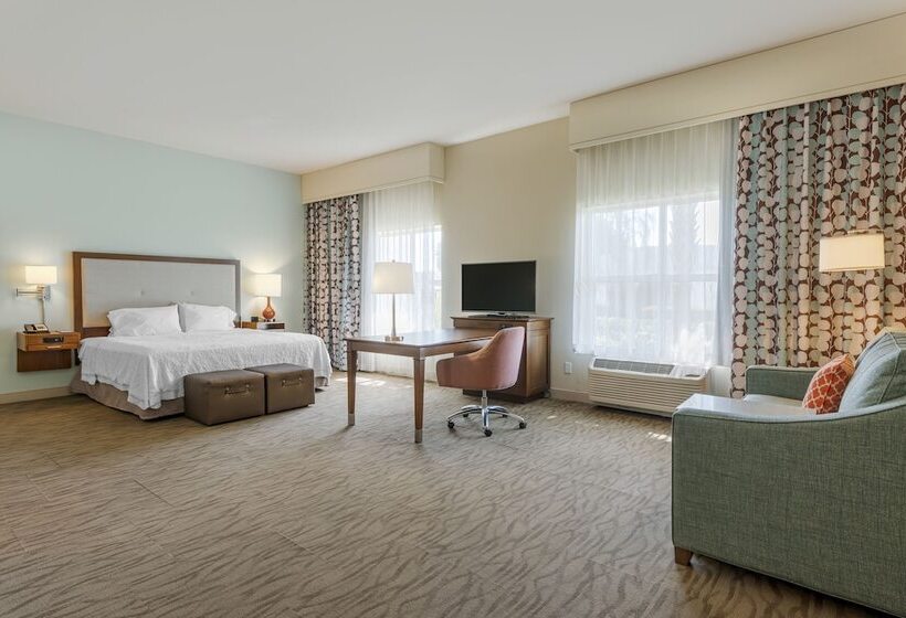 اتاق استاندارد با تخت دوبل برای معلولان, Hampton Inn & Suites Vero Beach Downtown