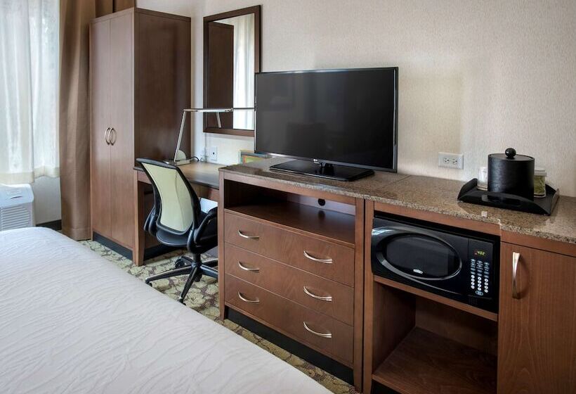 Habitación Estándar Cama King Adaptada para personas con movilidad reducida, Hilton Garden Inn Chicago Downtown Riverwalk