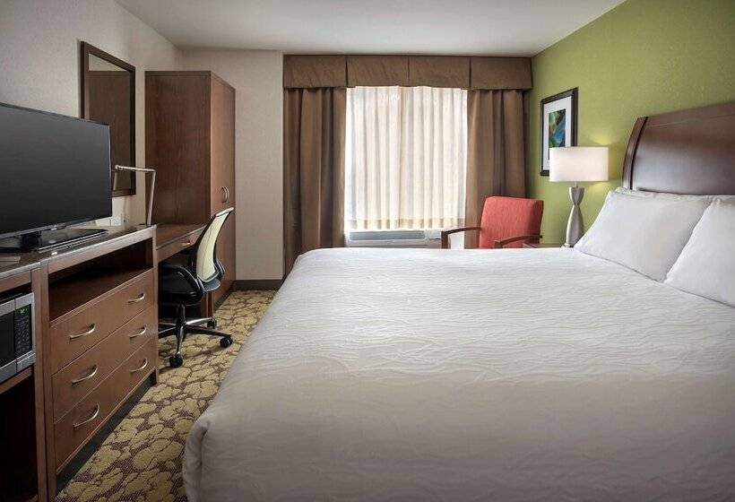 Standard Room King Bed Adapted for people with reduced mobility, Hilton Garden Inn Chicago Downtown Riverwalk