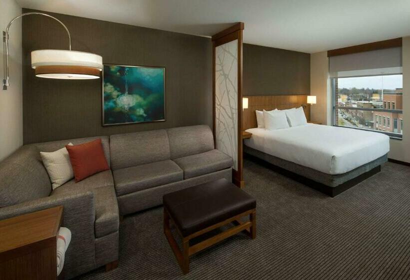 اتاق استاندارد با تخت بزرگ برای معلولان, Hyatt Place Bloomington / Normal