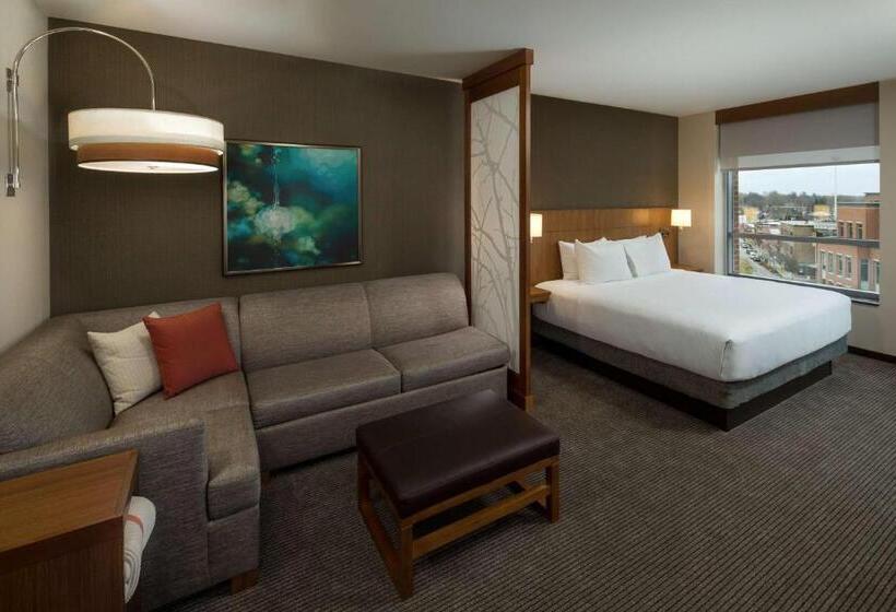 اتاق استاندارد با تخت بزرگ, Hyatt Place Bloomington / Normal