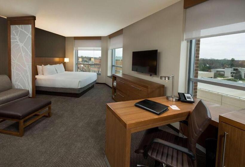 اتاق استاندارد با تخت بزرگ, Hyatt Place Bloomington / Normal