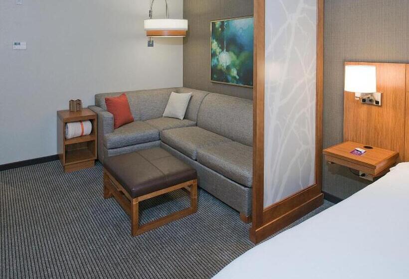 اتاق استاندارد با تخت بزرگ, Hyatt Place Bloomington / Normal
