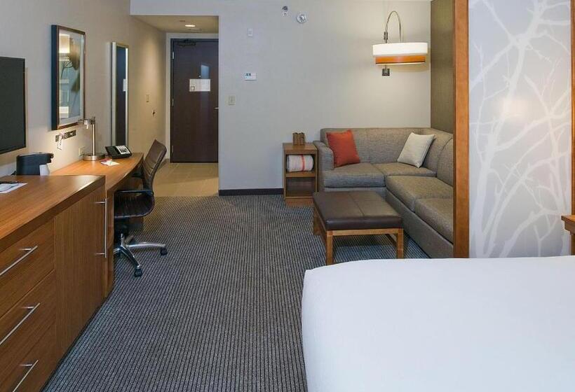 اتاق استاندارد با تخت بزرگ, Hyatt Place Bloomington / Normal