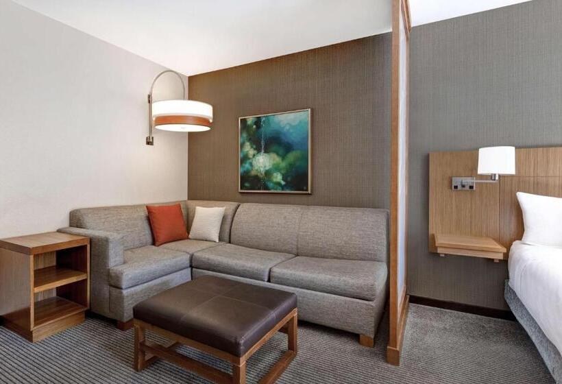 اتاق استاندارد با تخت بزرگ, Hyatt Place Bloomington / Normal