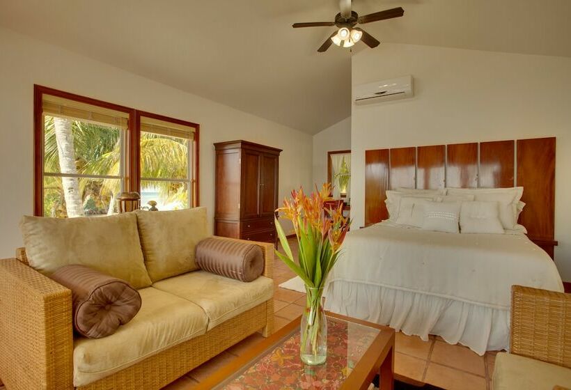 آپارتمان سوپریور 1 خوابه با چشم‌انداز دریا, Ray Caye Private Island Resort