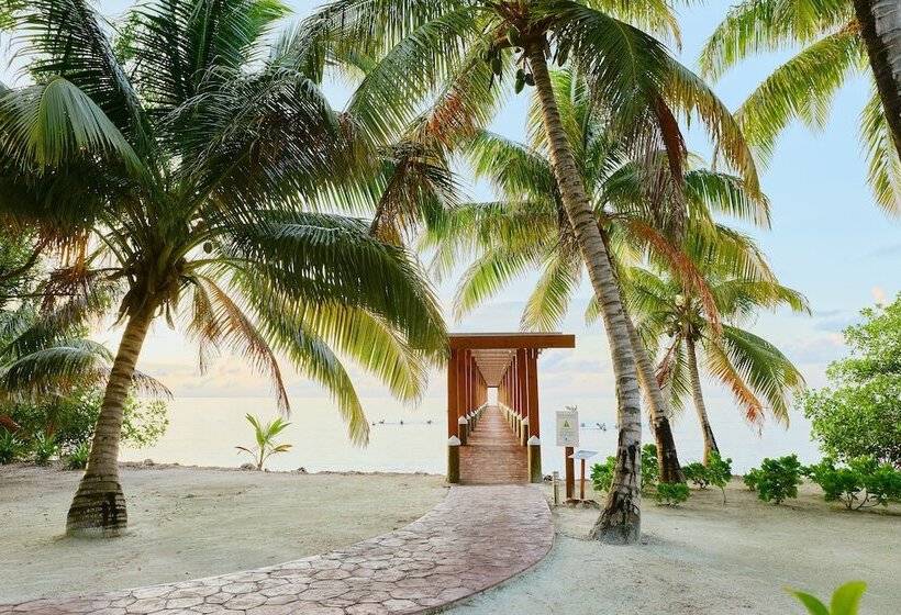 آپارتمان سوپریور 1 خوابه با چشم‌انداز دریا, Ray Caye Private Island Resort