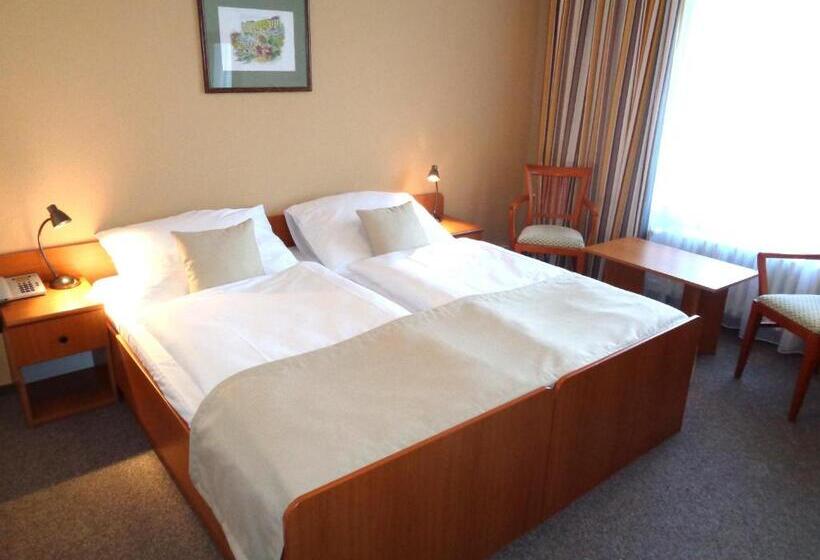 اتاق استاندارد, Spa Hotel Devin