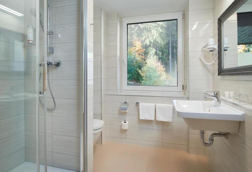 اتاق لوکس, Spa Hotel Devin