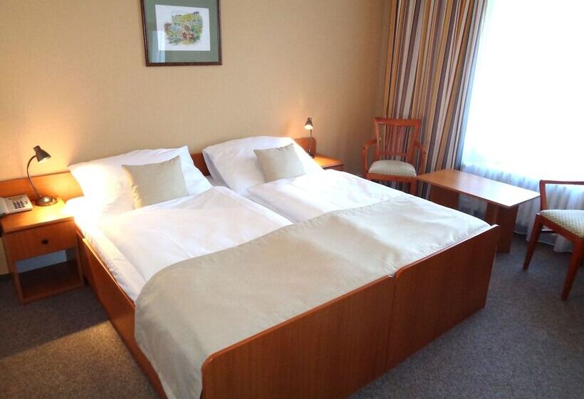 اتاق استاندارد, Spa Hotel Devin