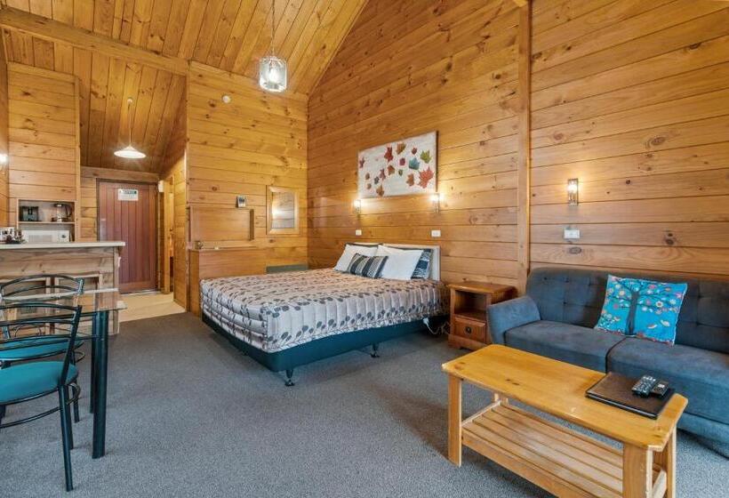 إستوديو قياسى سرير كينج, Aspiring Lodge Motel