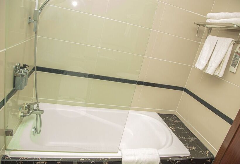 اتاق استاندارد با چشم‌انداز شهر, Best Western Plus Paramount