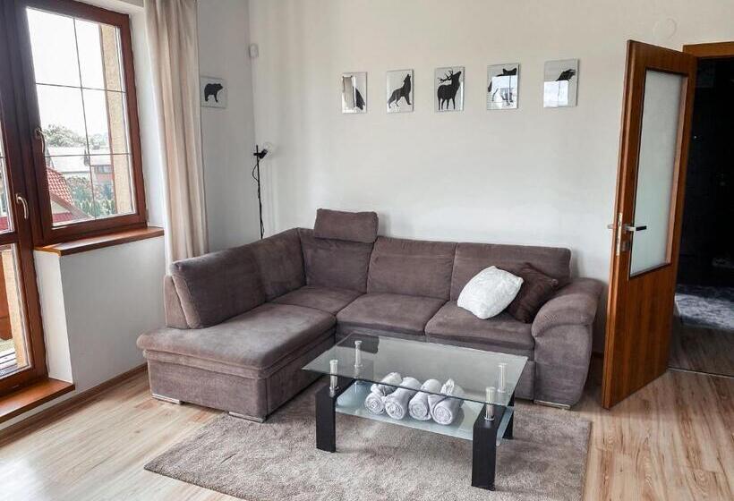 آپارتمان لوکس 1 خوابه, Apartmany Sileas