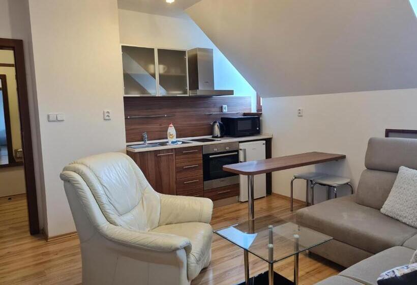 آپارتمان 1 خوابه, Apartmany Sileas
