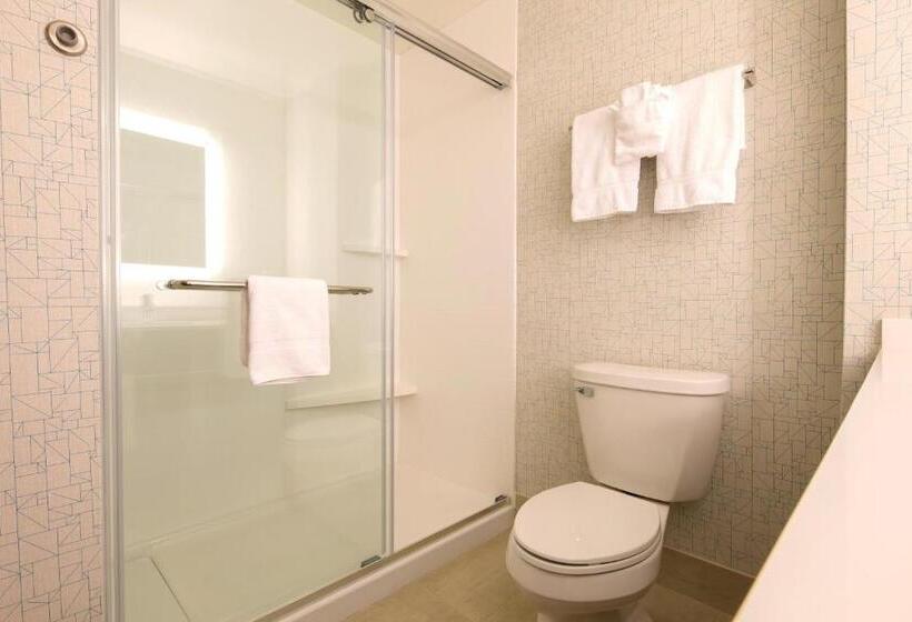سوئیت با تخت بزرگ, Holiday Inn Express & Suites Port Huron, An Ihg