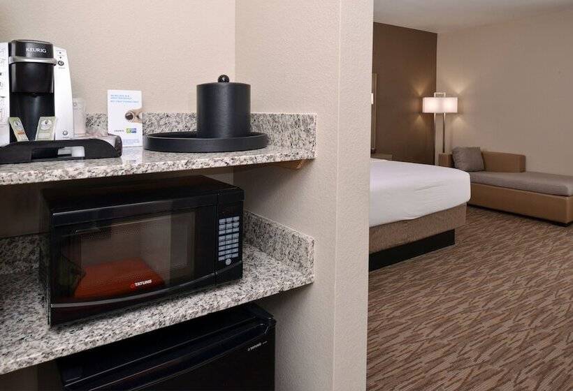 اتاق استاندارد, Holiday Inn Express & Suites Williams
