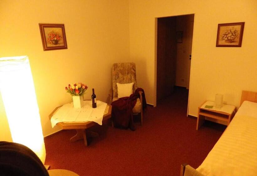 Standard Single Room, Pension Haus Heitzig